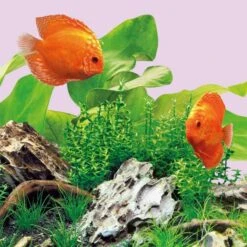 Juwel Leuchtmittel Für Multilux LED Colour -Haustierprodukte 1000072582 3