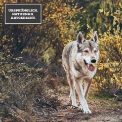 MOON Ranger Ente & Pute Mit Süßkartoffeln 11 MOON Ranger Ente & Pute Mit Süßkartoffeln -Haustierprodukte 3 Ursprunglich Naturnah ArtgerechtFXPZ9qgTGtws0