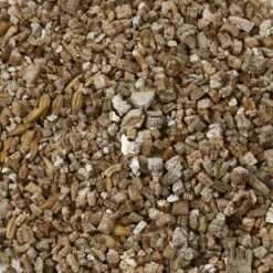 GimCat Katzengras Mit Schnellkeimung -Haustierprodukte 4002064407289 03