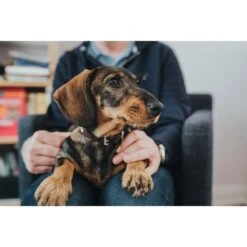 Hunter Halsband Swiss Nickel Braun/Schwarz -Haustierprodukte 41751 hunter halsband swiss nickel braun schwarz 00