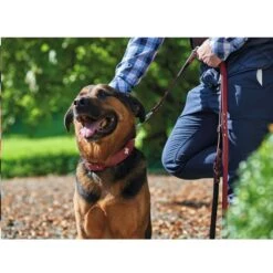 Hunter Verstellbare Führleine Swiss Rot/Schwarz -Haustierprodukte 41757 hunter verstellbare fuhrleine swiss rot schwarz 00