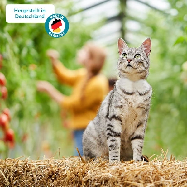 ZooRoyal Minkas Naturkost Adult Ente & Huhn Mit Karotten & Distelöl 8 ZooRoyal Minkas Naturkost Adult Ente & Huhn Mit Karotten & Distelöl – Bild 6