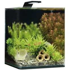 Dennerle NanoCube Basic Set -Haustierprodukte Dennerle NanoCube Basic Style LED M 20l605caf4da747f