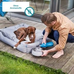 ZooRoyal Saftige Pastete Mit Huhn & Herz -Haustierprodukte Hund 10 Aromastoffe60d9bd7980e91