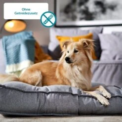 ZooRoyal Saftige Pastete Mit Huhn & Herz -Haustierprodukte Hund 3 ohne Getreide60d9bd738a412