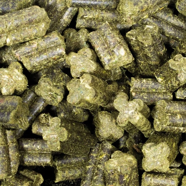 JR Farm Kaninchenfutter Grainless Complete Zwergkaninchen 4 JR Farm Kaninchenfutter Grainless Complete Zwergkaninchen – Bild 2