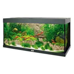 Juwel Motivrückwand Cliff Light -Haustierprodukte Juwel Motivruckwand Cliff Light Dekorationsbeispiel