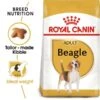 ROYAL CANIN Beagle Adult Hundefutter Trocken -Haustierprodukte RoyalCanin Hundefutter Beagle 1