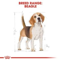 ROYAL CANIN Beagle Adult Hundefutter Trocken -Haustierprodukte RoyalCanin Hundefutter Beagle 6