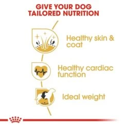 ROYAL CANIN Golden Retriever Adult Hundefutter Trocken 10 ROYAL CANIN Golden Retriever Adult Hundefutter Trocken -Haustierprodukte RoyalCanin Hundefutter GoldenRetriever 2