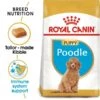 ROYAL CANIN Poodle Puppy Welpenfutter Trocken Für Pudel