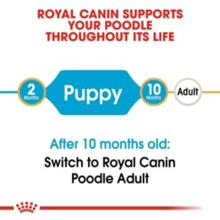 ROYAL CANIN Poodle Puppy Welpenfutter Trocken Für Pudel -Haustierprodukte RoyalCanin Hundefutter Poodle Puppy 2