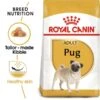 ROYAL CANIN Pug Adult Hundefutter Trocken Für Mops -Haustierprodukte RoyalCanin Hundefutter Pug 1