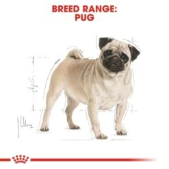 ROYAL CANIN Pug Adult Hundefutter Trocken Für Mops -Haustierprodukte RoyalCanin Hundefutter Pug 63