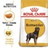 ROYAL CANIN Rottweiler Adult Hundefutter Trocken