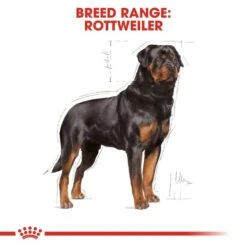 ROYAL CANIN Rottweiler Adult Hundefutter Trocken 14 ROYAL CANIN Rottweiler Adult Hundefutter Trocken -Haustierprodukte RoyalCanin Hundefutter Rottweiler 6