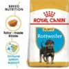 ROYAL CANIN Rottweiler Puppy Welpenfutter Trocken 2 ROYAL CANIN Rottweiler Puppy Welpenfutter Trocken -Haustierprodukte RoyalCanin Hundefutter Rottweiler Puppy 1