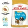 ROYAL CANIN Shih Tzu Puppy Welpenfutter Trocken -Haustierprodukte RoyalCanin Hundefutter ShihTzu Puppy 1