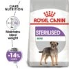 ROYAL CANIN STERILISED MINI Trockenfutter Für Kastrierte Kleine Hunde -Haustierprodukte RoyalCanin Hundefutter Sterilised Mini 1