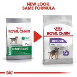 ROYAL CANIN STERILISED MINI Trockenfutter Für Kastrierte Kleine Hunde -Haustierprodukte RoyalCanin Hundefutter Sterilised Mini 7