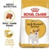 ROYAL CANIN Jack Russell Terrier Adult Hundefutter Trocken