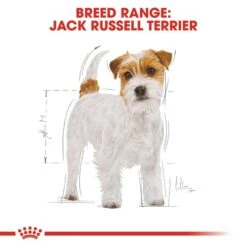 ROYAL CANIN Jack Russell Terrier Adult Hundefutter Trocken -Haustierprodukte RoyalCanin Hundefutter JackRusselTerrier 6