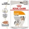 ROYAL CANIN COAT CARE Nassfutter Für Glänzendes Fell 12x85g