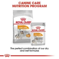 ROYAL CANIN COAT CARE Nassfutter Für Glänzendes Fell 12x85g -Haustierprodukte RoyalCanin Hundefutter CCN CoatCare Nassfutter 65f1ecdfb5fb08