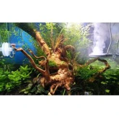 TWINSTAR 2 Aquarium-Sterilisator Nano -Haustierprodukte ada aquarium sterilisator twinstar alle 4560e442ae7eab5a86dda358eef