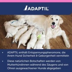 Adaptil Junior Halsband 22 Adaptil Junior Halsband -Haustierprodukte adaptil junior halsband 10