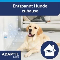 Haustierprodukte -Haustierprodukte adaptil verdampfer 1 monats nachfullflakon 48ml 2