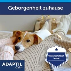 Adaptil Verdampfer 1 Monats-Nachfüllflakon 48ml -Haustierprodukte adaptil verdampfer 1 monats nachfullflakon 48ml 6