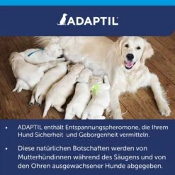 Adaptil Verdampfer 1 Monats-Nachfüllflakon 48ml -Haustierprodukte adaptil verdampfer 1 monats nachfullflakon 48ml 9