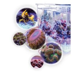 Aqua Medic Armatus XS 19 Aqua Medic Armatus XS -Haustierprodukte aqua medic micro aquarium armatus xs web 10