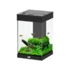 Aquatlantis Aquarium Aqua Tower 43 -Haustierprodukte aquatlantis aqua tower 43 schwarz