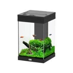 Aquatlantis Aquarium Aqua Tower 43