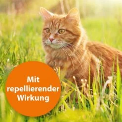 ARDAP Spot-On Für Katzen -Haustierprodukte ardab spot on fur katzen 2