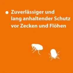 ARDAP Spot-On Für Katzen -Haustierprodukte ardab spot on fur katzen 4