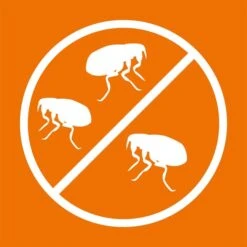 ARDAP Anti-Floh Shampoo Für Hunde 3x250ml -Haustierprodukte ardap anti floh shampoo fur hunde 250ml 5JRkSnu8m20PQr