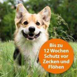 ARDAP Spot-On Für Hunde -Haustierprodukte ardap spot on fur hunde 2
