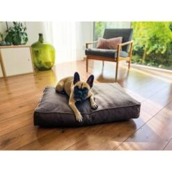Aumüller Hundebett Basic Rechteckig 117 Cm -Haustierprodukte aumueller hundebett basic rechteckig web 1LoS5grkXsYXf7