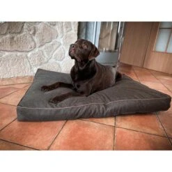 Aumüller Hundebett Basic Rechteckig 117 Cm -Haustierprodukte aumueller hundebett basic rechteckig web 49nGcfHBTubha8