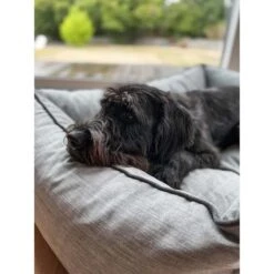 Aumüller Hundebett Sofa Ortho Line 117 Cm -Haustierprodukte aumueller hundebett bed sofa ortho line grau web 9CIUafFW6eiPMr