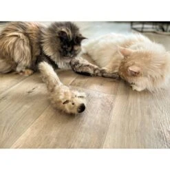 Aumüller Katzenspielkissen Zappel - Frettchen Speedy 13 Aumüller Katzenspielkissen Zappel - Frettchen Speedy -Haustierprodukte aumueller katzen spielzeug zappel frettchen freddy web 1