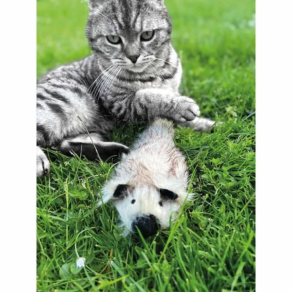 Aumüller Katzenspielkissen Zappel - Frettchen Speedy 6 Aumüller Katzenspielkissen Zappel - Frettchen Speedy – Bild 4