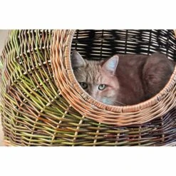 Aumüller Katzenhöhle Naturbunte Weide 60 Cm 8 Aumüller Katzenhöhle Naturbunte Weide 60 Cm -Haustierprodukte aumueller katzenhoehle naturbunte weide web 3vfGEwtFI7kIKv