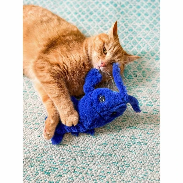 Aumüller Lucky Lobster Blau 4 Aumüller Lucky Lobster Blau – Bild 2