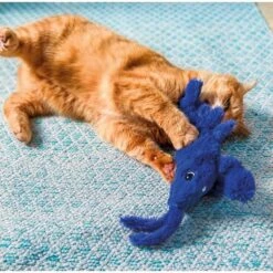 Aumüller Lucky Lobster Blau 10 Aumüller Lucky Lobster Blau -Haustierprodukte aumueller lucky lobster blau web 4