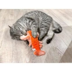 Aumüller Lucky Lobster Orange -Haustierprodukte aumueller lucky lobster orange web 7