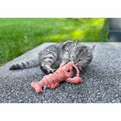 Aumüller Lucky Lobster Orange -Haustierprodukte aumueller lucky lobster orange web 9